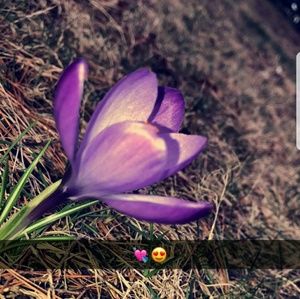 Meet your Posher, Lani